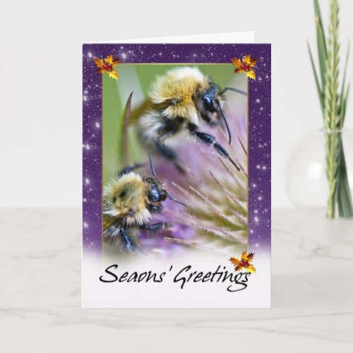 Bee Christmas Card _ Honey Bees On Wild Flo