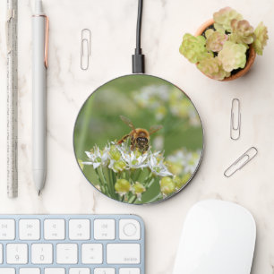 Bee Close Up on Tiny Flowers Charger