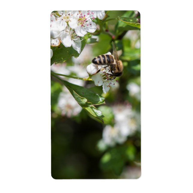 Bee collects pollen label (Front)