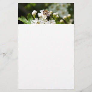 Bee collects pollen stationery
