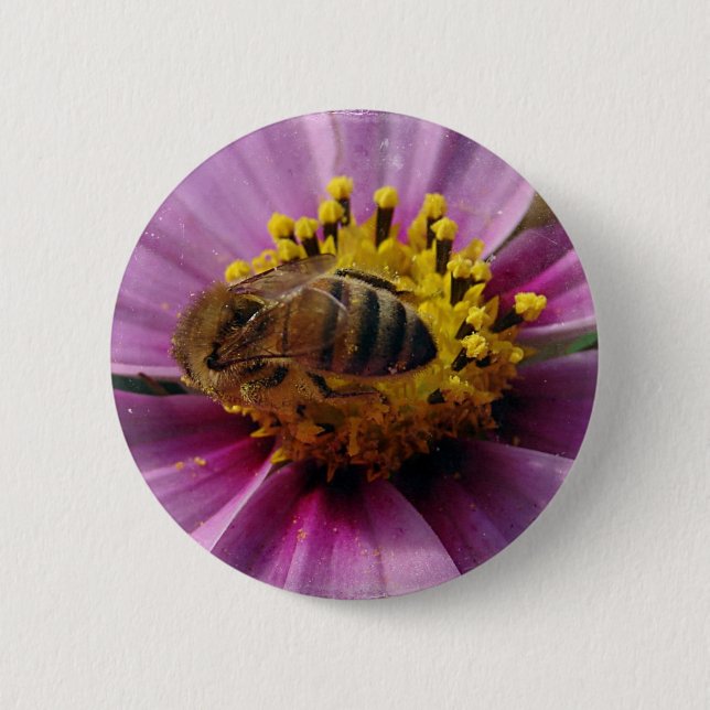 Bee Cosmo, Honey Bee and Cosmo Flower Button (Front)