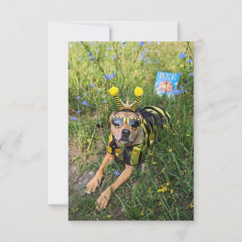 Bee costume book Funny Dog Photo Card