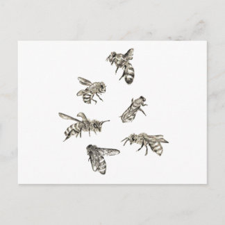 Bee Drawing Postcard
