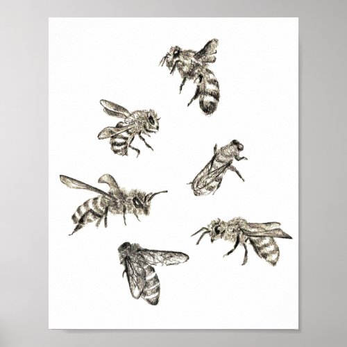 Bee Drawing Poster