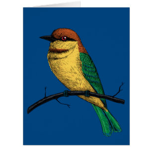 Bee eater cards