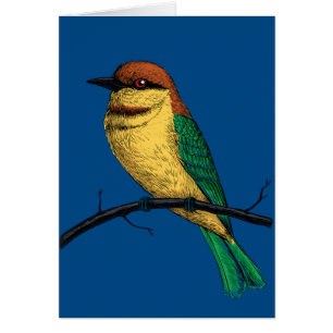 Bee eater cards