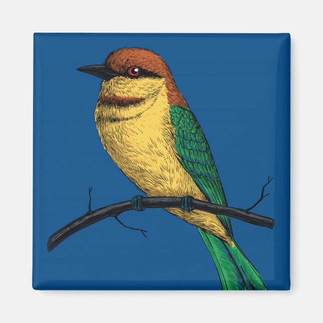 Bee eater magnet (Front)