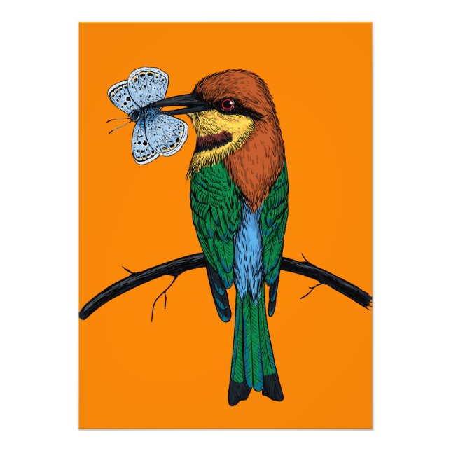 Bee eater photo print (Front)
