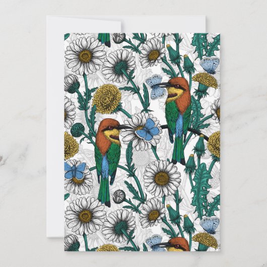 Bee-eaters, blue butterflies and daisies on white (Front)