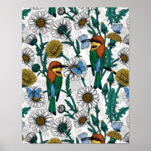 Bee-eaters, blue butterflies and daisies on white poster