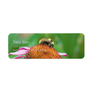 Bee Echinacea Label