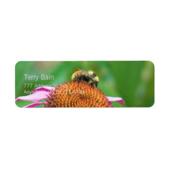 Bee Echinacea Label by TerryBainPhoto at Zazzle