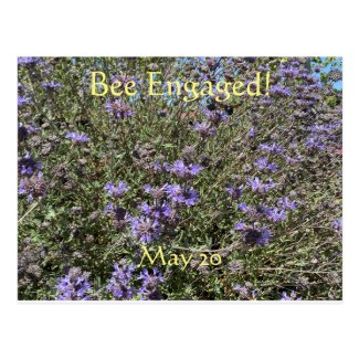 Bee Engaged: World Bee Day Postcard
