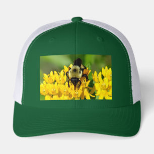 Bee Feasting on Butterfly Weed Wildflowers