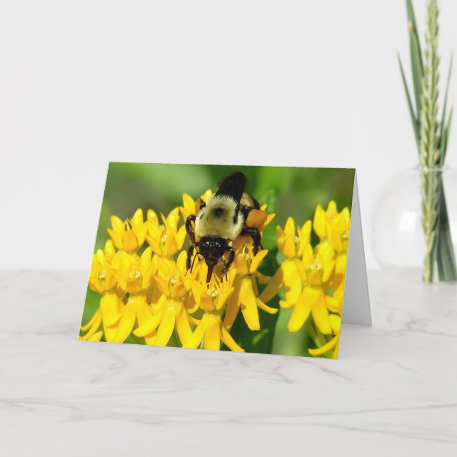 Bee Feasting on Butterfly Weed Wildflowers Card (Front)