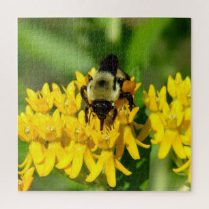 Bee Feasting on Butterfly Weed Wildflowers Jigsaw Puzzle