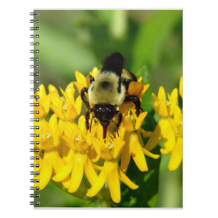 Bee Feasting on Butterfly Weed Wildflowers Notebook