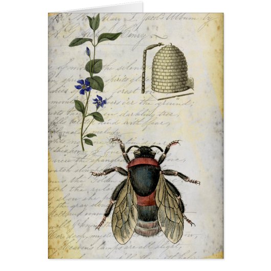 Bee Flower Hive Cards (Front)