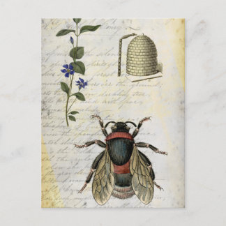 Bee Flower Hive Postcard