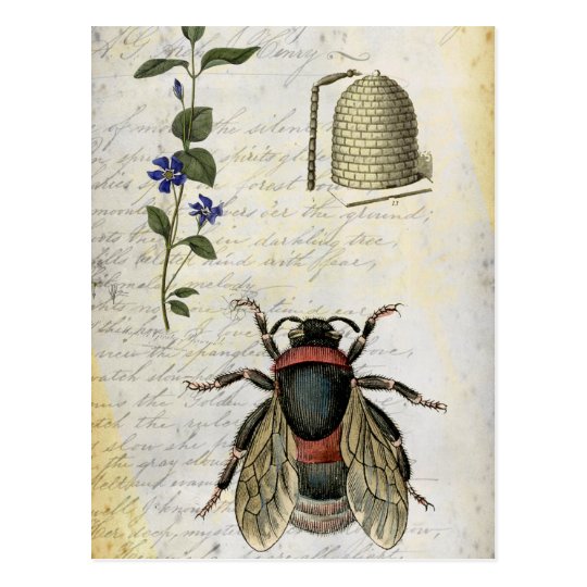 Bee Flower Hive Postcard | Zazzle.com