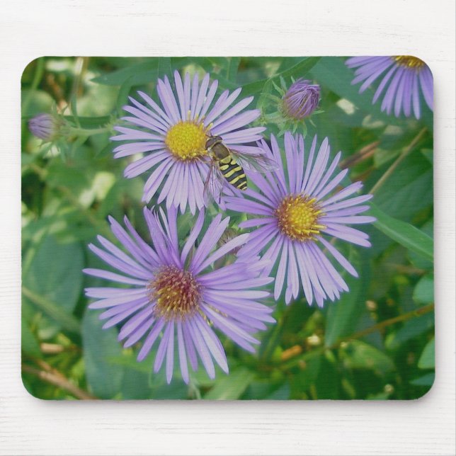 Bee Fly & Purple Asters Mousepad (Front)