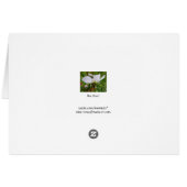 Bee Free Cards (Back Horizontal)