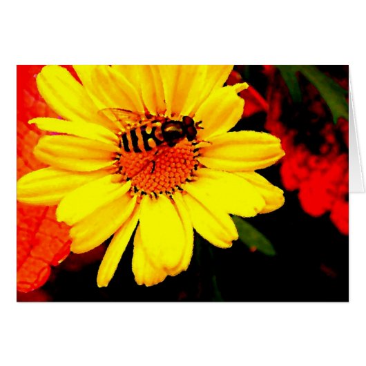 Bee Free Cards (Front Horizontal)