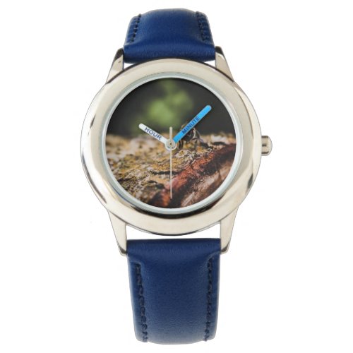 Bee Free Moody Nature watch