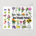 Bee-friendly Flowers Postcard at Zazzle