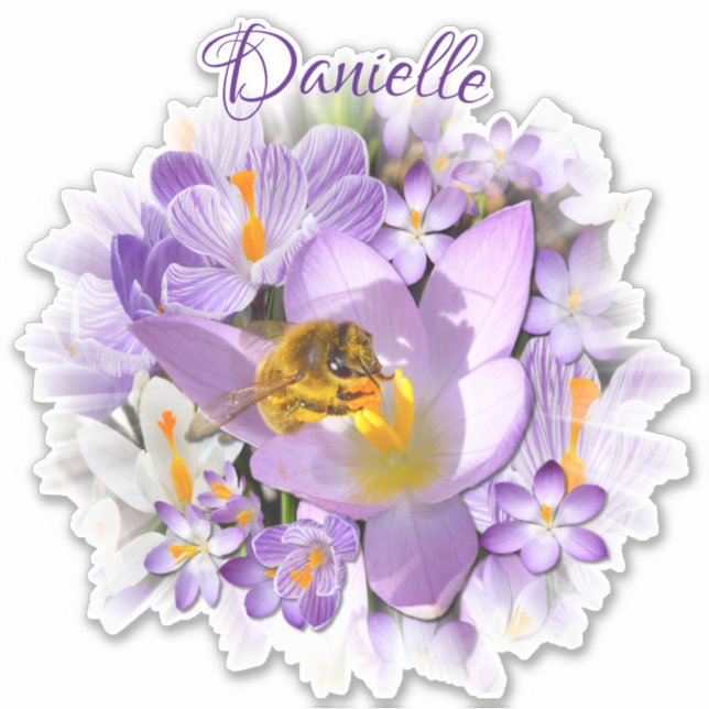 Bee Gathering Nectar from Crocus Flowers  Sticker (Front)