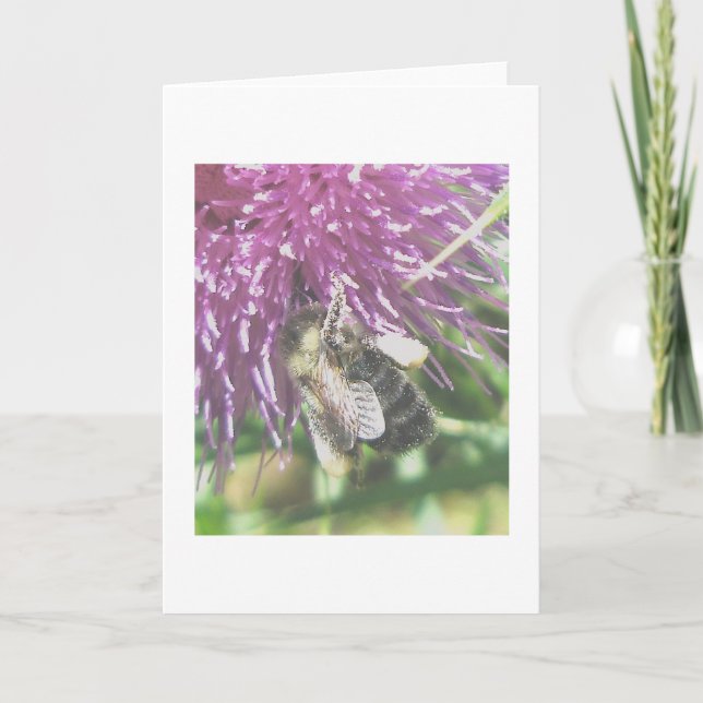 Bee Gathering Thistle Pollen Note Card (Front)