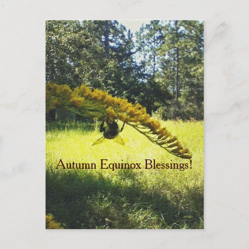Bee  Goldenrod Autumn Equinox Mabon Postcard