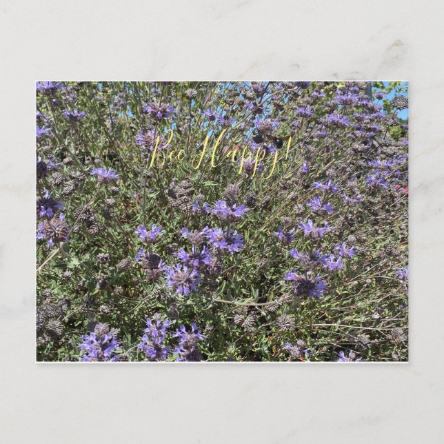 Bee Happy! Cleveland Sage Postcard (Front)