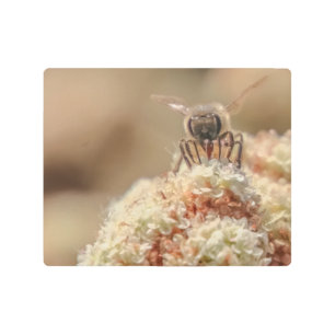 Bee Happy Metal Print