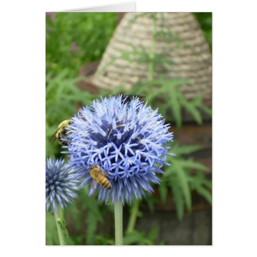 Bee-have Cards (Front)
