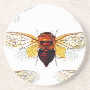 Bee hibiscusgarde art coaster