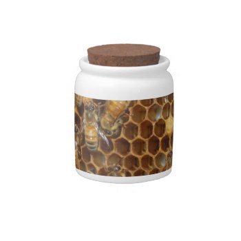 Bee Hive Candy Jar by ChristyWyoming at Zazzle