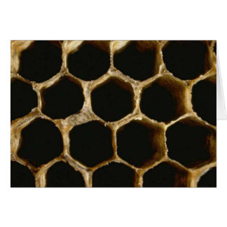 Bee Hive Cards