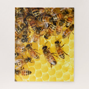 Bee Happy Wall Decor  Texas Honey Bee Farm