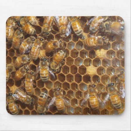 Bee Hive Mouse Pad