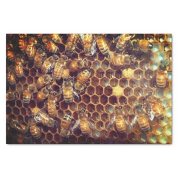 Bee Hive Tissue Paper by ChristyWyoming at Zazzle