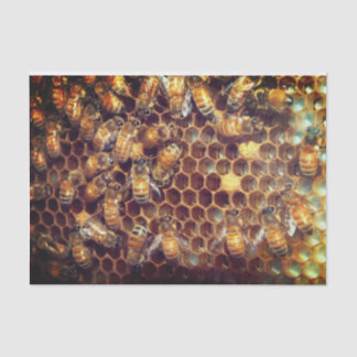 Bee Hive Tissue Paper