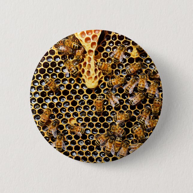 Bee Hive with Honeycomb Up Close Button (Front)