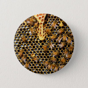 Bee Hive with Honeycomb Up Close Button