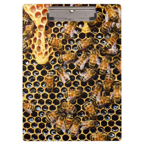 Bee Hive with Honeycomb Up Close Clipboard
