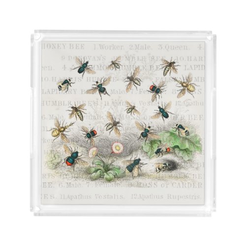 Bee Honey Worker Queen Bees Antique  Acrylic Tray