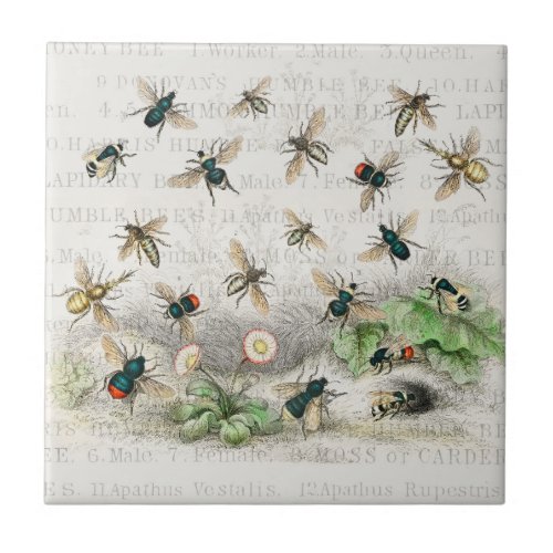 Bee Honey Worker Queen Bees Antique  Ceramic Tile