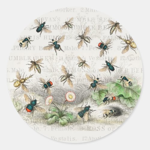 Bee Honey Worker Queen Bees Antique  Classic Round Sticker