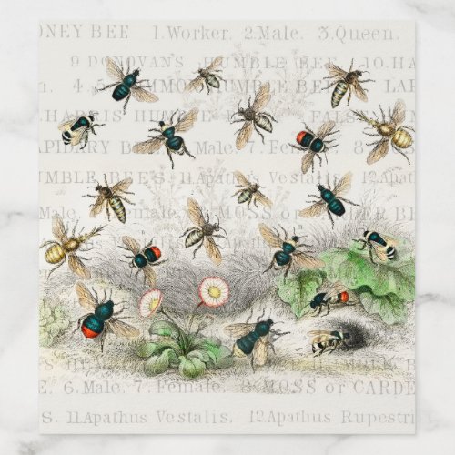 Bee Honey Worker Queen Bees Antique  Envelope Liner