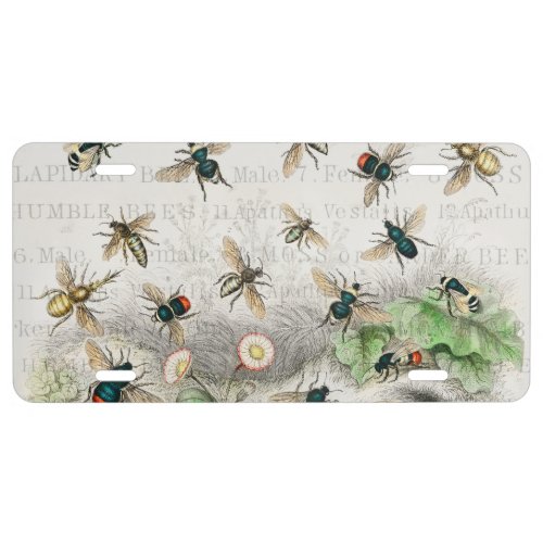 Bee Honey Worker Queen Bees Antique  License Plate